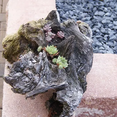 Lenz By Interhome Bleialf