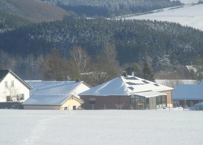 Lenz By Interhome Bleialf