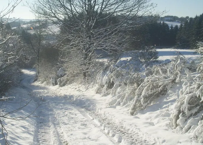 Lenz By Interhome Apartment Bleialf