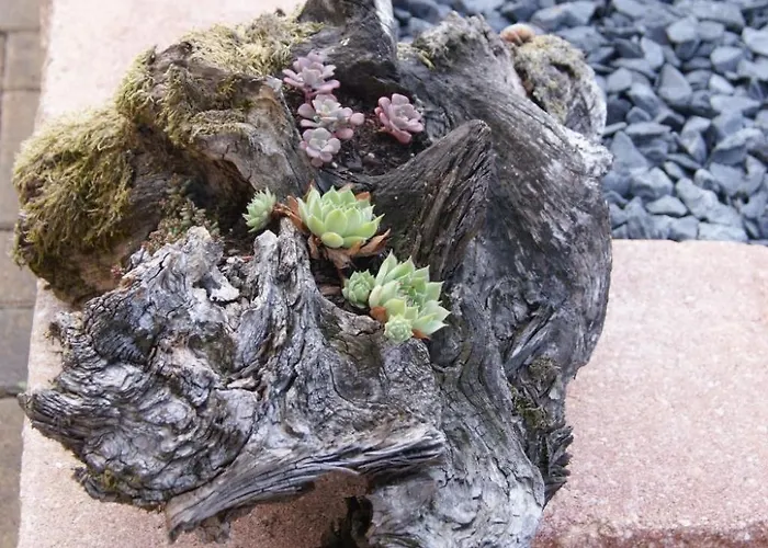 Lenz By Interhome Bleialf